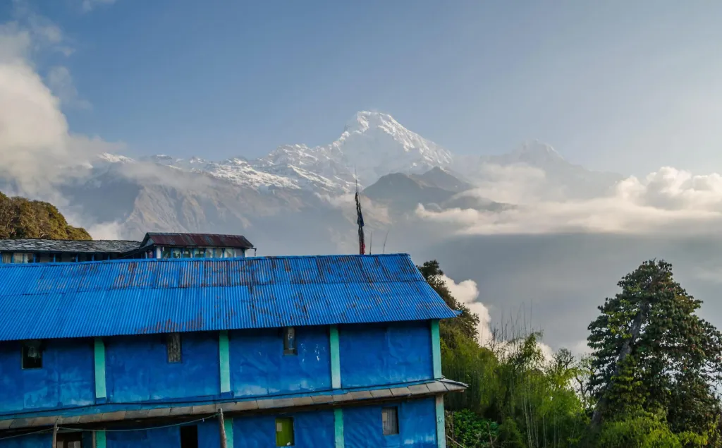 Views of the Annapurna Himalayas from Tadapani during Khopra Ridge Trek, clicked by North Nepal Trek